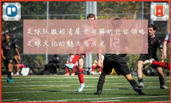 足球队徽超清展示与解析让你领略足球文化的魅力与历史