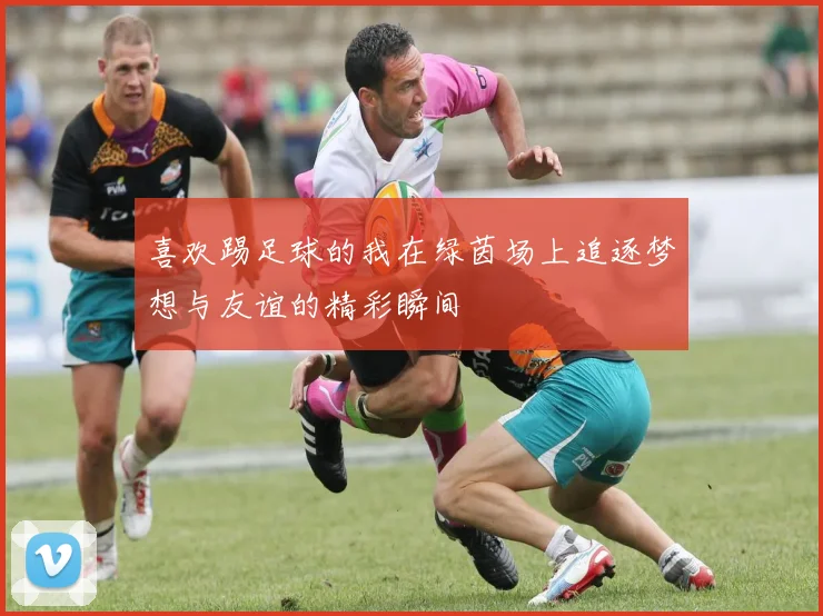 喜欢踢足球的我在绿茵场上追逐梦想与友谊的精彩瞬间