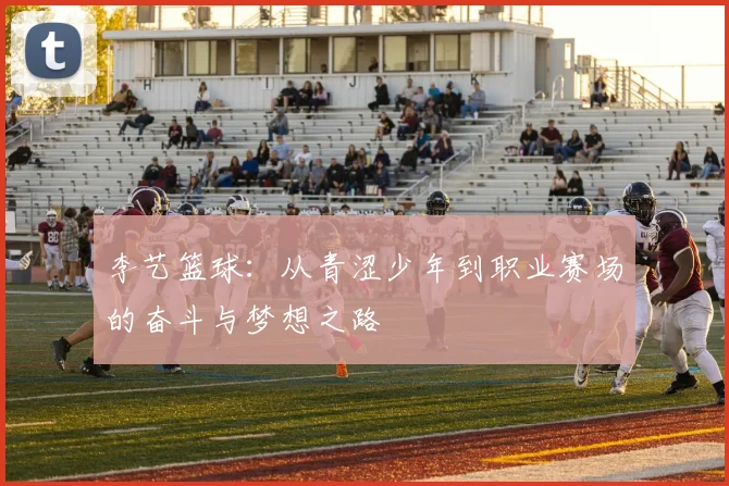李艺篮球：从青涩少年到职业赛场的奋斗与梦想之路