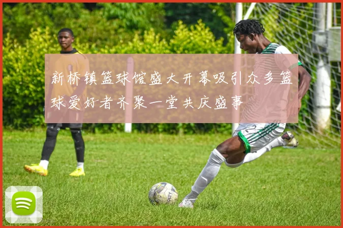 新桥镇篮球馆盛大开幕吸引众多篮球爱好者齐聚一堂共庆盛事