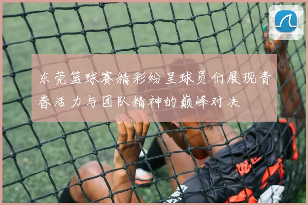 东莞篮球赛精彩纷呈球员们展现青春活力与团队精神的巅峰对决