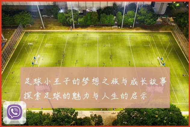 足球小王子的梦想之旅与成长故事探索足球的魅力与人生的启示
