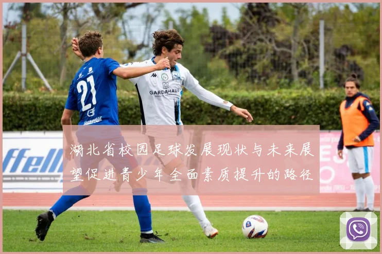 湖北省校园足球发展现状与未来展望促进青少年全面素质提升的路径探索